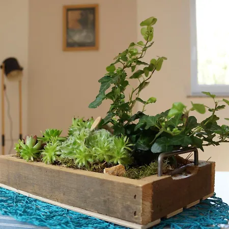 Casa Philippi * Монтабаур